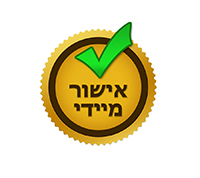 הלוואה באישור מיידי